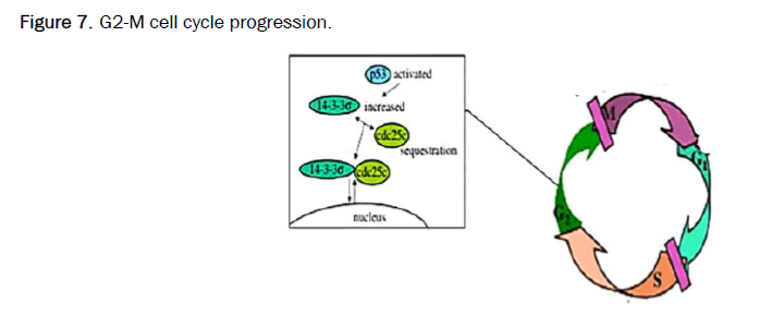 medical-clinical-cycle