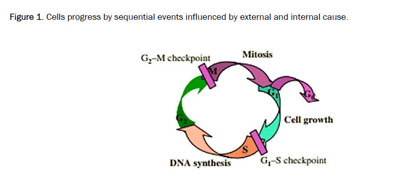 /medical-clinical-influenced