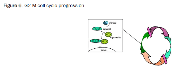 medical-clinical-progression