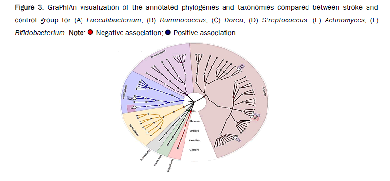 microbiology-phylogenies