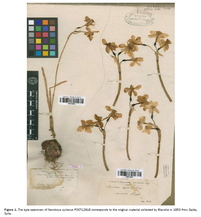 Botanical-Sciences-specimen
