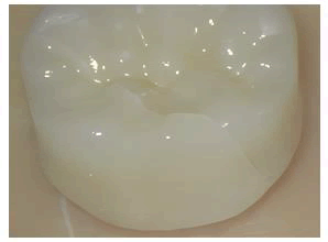 jds-base