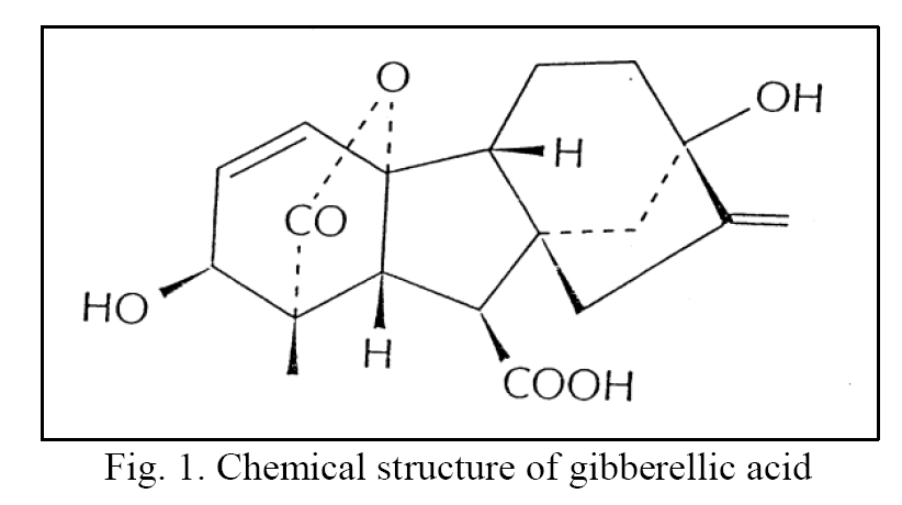 Biology-Chemical-structure-gibberellic-acid