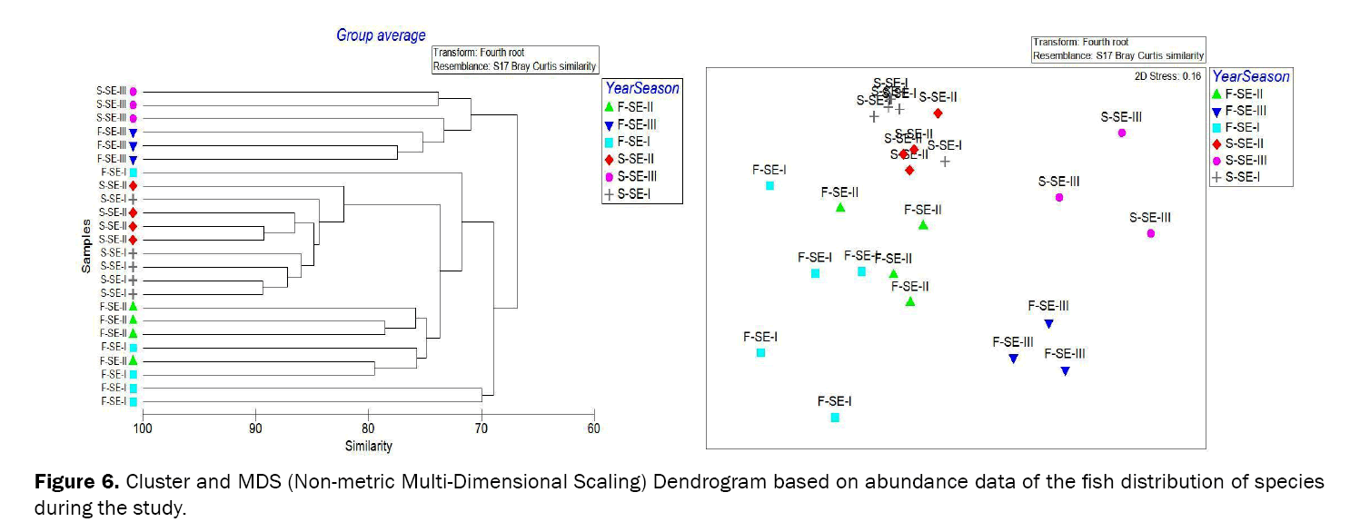 Biology-Cluster-and-MDS-Non-metric-Multi-Dimensional-Scaling