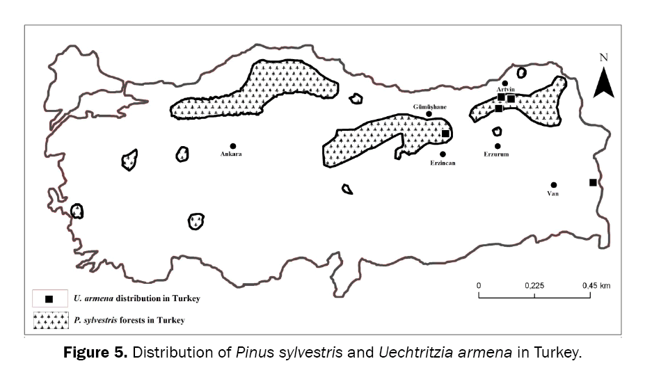Biology-Distribution-Pinus-sylvestris-and-Uechtritzia-armena-Turkey