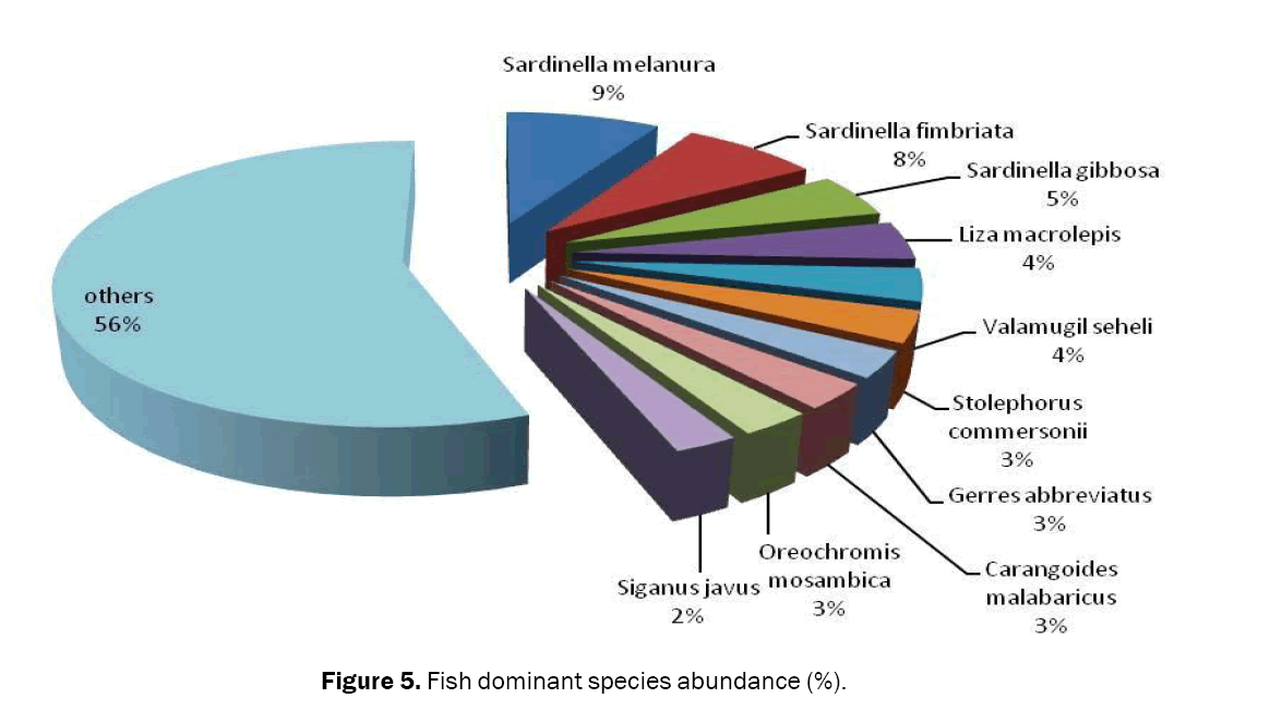 Biology-Fish-dominant-species-abundance