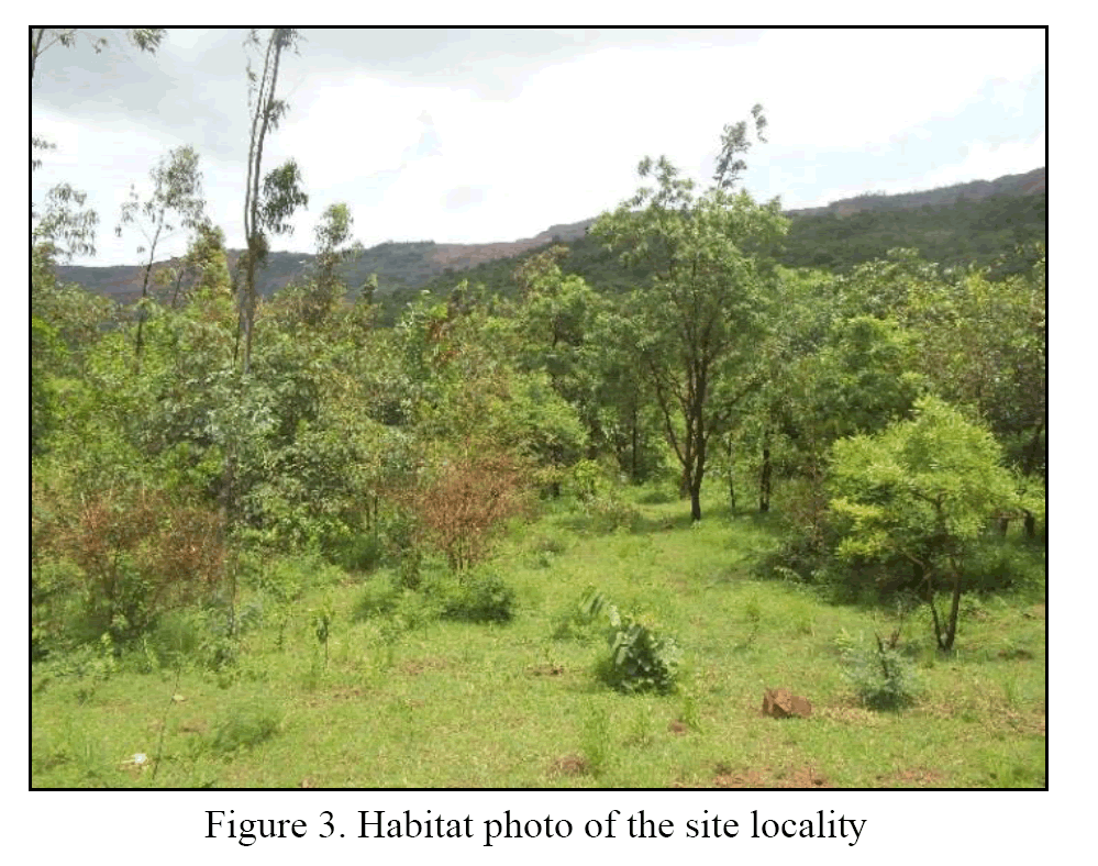 Biology-Habitat-photo-the-site-locality