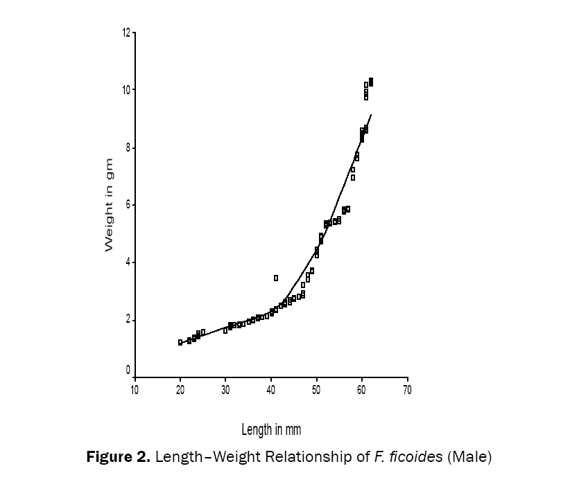 Biology-LengthÃ¢ÂÂWeight-Relationship-F-ficoides