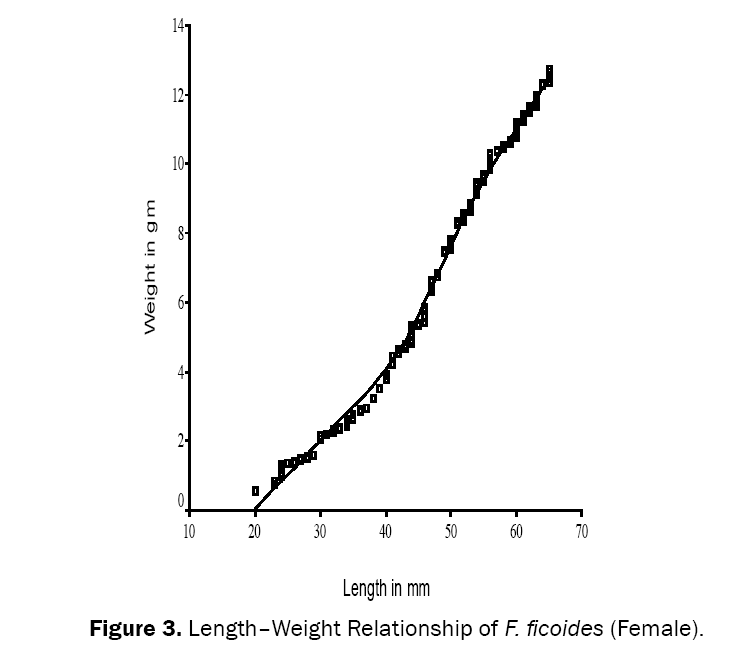 Biology-LengthÃ¢ÂÂWeight-Relationship-F-ficoides-Female