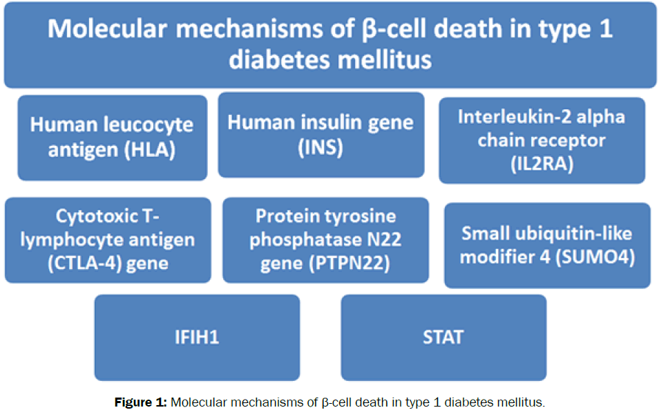 Biology-Molecular-mechanisms-diabetes-mellitus