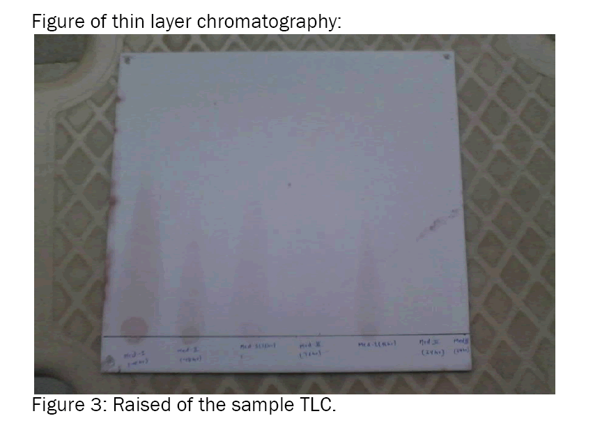 Biology-Raised-the-sample-TLC