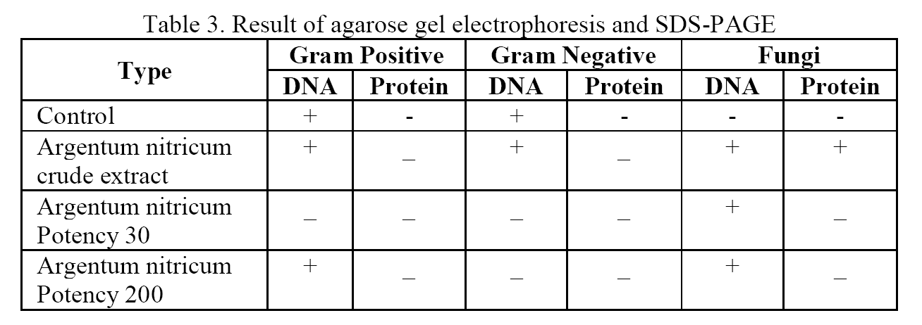 Biology-Result-agarose-gel-electrophoresis-SDS-PAGE