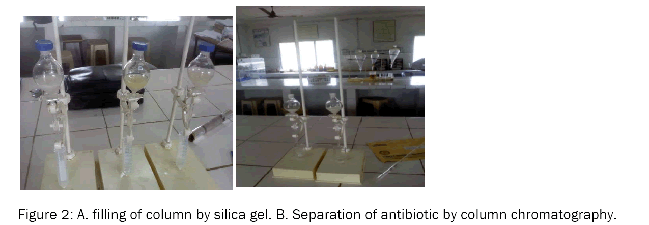 Biology-filling-column-by-silica-gel