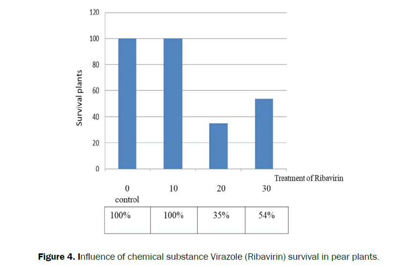 Botanical-Sciences-substance-Virazole