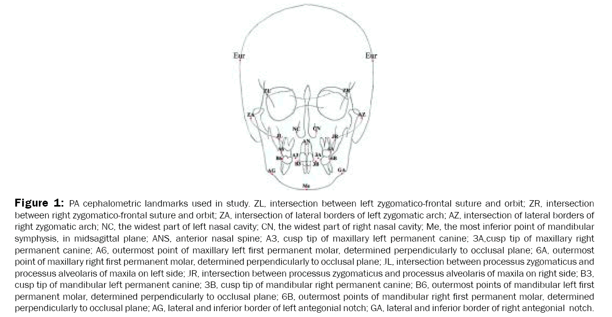 Dental-Sciences-PA-cephalometric-landmarks-used-study