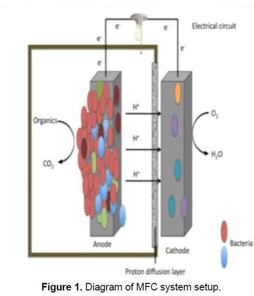 Ecology-Environmental-MFC-system