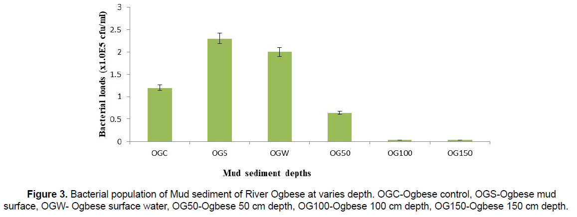 Ecology-Environmental-River-Ogbese