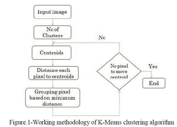 Figure 1a