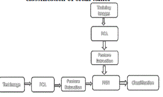 Figure 3a