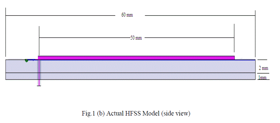 Figure 1b