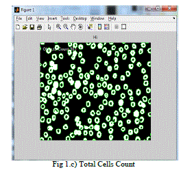 Figure 1c