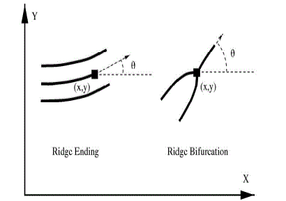 Figure 1a