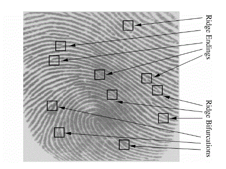 Figure 1b