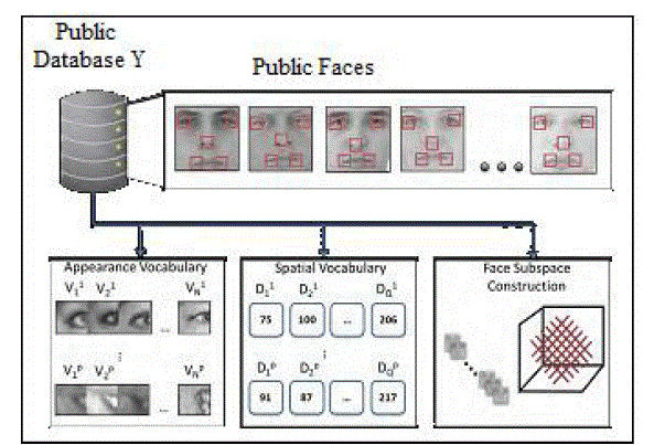 Figure 5a