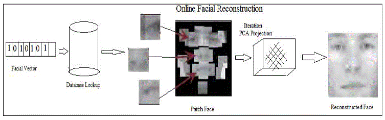 Figure 5b