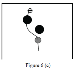 Figure 6c