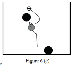 Figure 6e