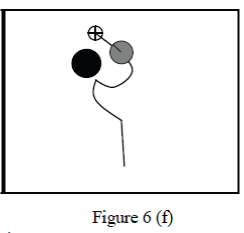 Figure 6f