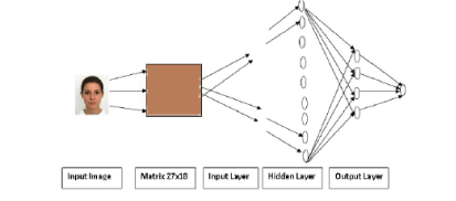 Figure 2a