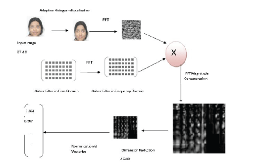 Figure 2c