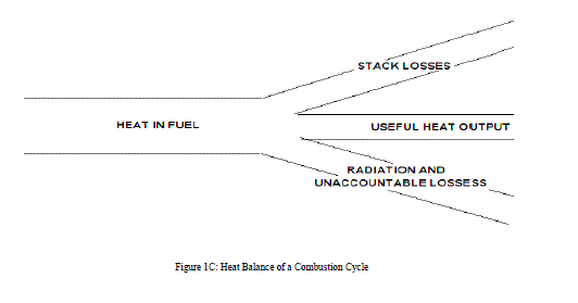 Figure 1C