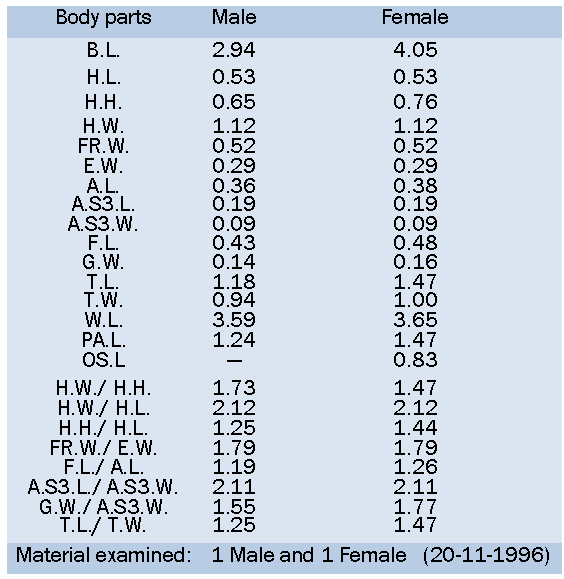 Table