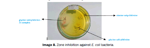 Journal-of-Chemistry-E-coli-bacteria