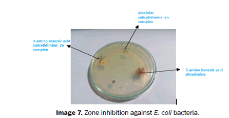 Journal-of-Chemistry-Zone-inhibition