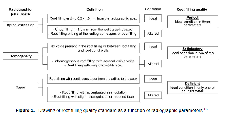 Medical-Health-root-filling