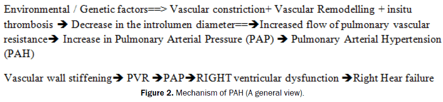 Medical-Health-root-filling-Mechanism-PAH