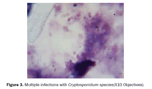 Microbiology-Biotechnology-Multiple