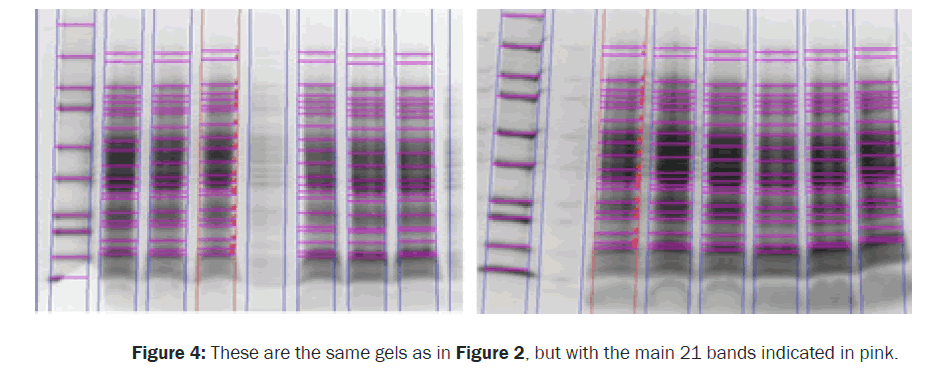 Microbiology-Biotechnology-indicated