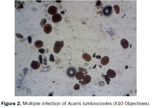 Microbiology-Biotechnology-infection