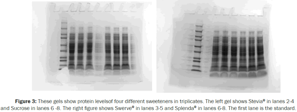 Microbiology-Biotechnology-levelsof