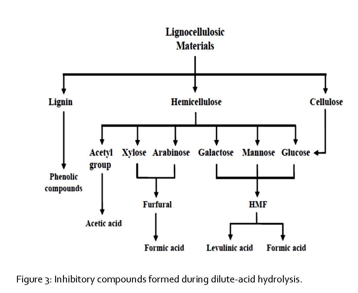 Pharmaceutical-Analysis-Inhibitory-compounds-formed-during-dilute-acid-hydrolysis