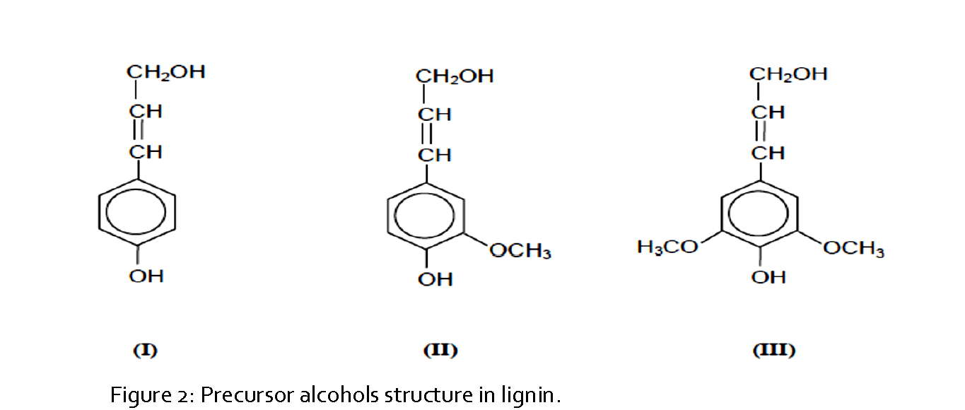 Pharmaceutical-Analysis-Precursor-alcohols-structure-lignin