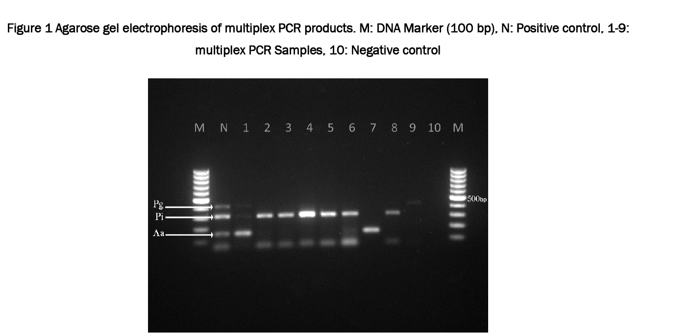 Pharmaceutical-Sciences-Agarose-gel-electrophoresis-multiplex-PCR-products