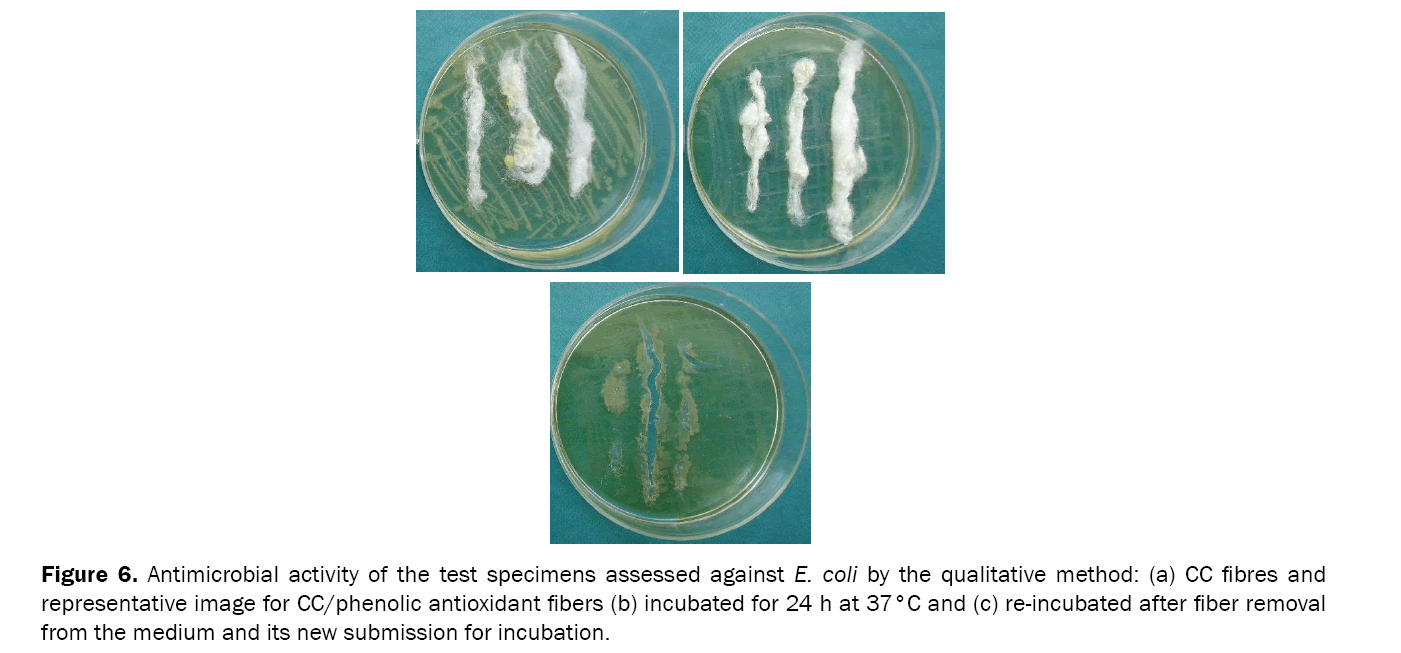 Pharmaceutical-Sciences-Antimicrobial-activity-test-specimens