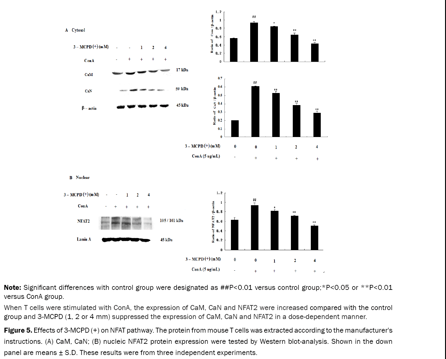 Pharmaceutical-Sciences-Effects-3-MCPD-NFAT-pathway