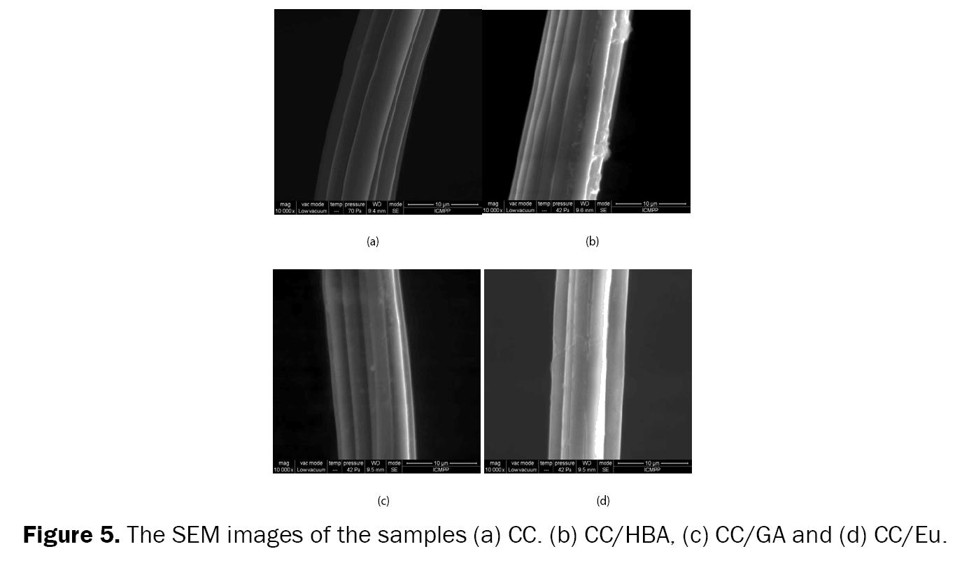 Pharmaceutical-Sciences-The-SEM-images-samples